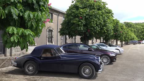 Classic-Jaguars-on-Display-in-a-courtyard-at-a-motor-rally-in-Waterford-Ireland-in-spring