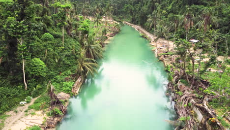Cinematic-revealing-drone-shot-of-a-green-river-in-the-forests-of-Cebu-Philippines,-Asia