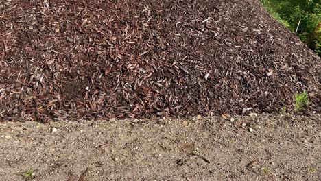 Pile-of-mulch-close-up,-background-or-texture