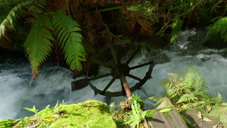 Old-Mill-turning-in-water-in-Blue-Springs-Putaruru,-New-Zealand