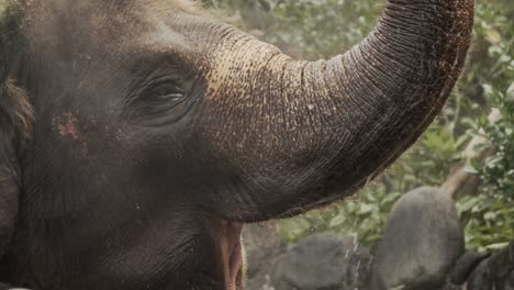 Großer-Elefant-In-Asien,-Der-Durch-Einen-Tiefen-Fluss-Läuft-Und-Mit-Wasser-Spielt