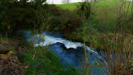 Wide-shot-of-a-rapid-on-a-river-at-Blue-Sping-Putaruru,-New-Zealand