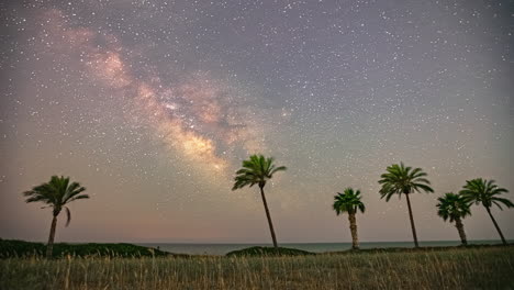 Milky-Way-Timelapse-above-palm-trees-and-grassy-field-with-airplane-light-streaks