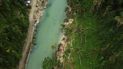 Cinematic-turn-down-drone-shot-revealing-details-of-the-river-and-palm-trees-in-Cebu-Philippines,-Aerial,-Asia