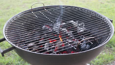 Charcoal-burning-on-a-Charcoal-BBQ