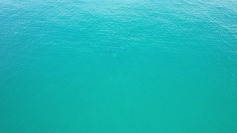 Buckelwale-Tauchen-Im-Türkisfarbenen-Wasser-Von-Cabarita-Beach,-Tweed-Shire,-Bogangar,-Northern-Rivers,-New-South-Wales,-Australien,-Luftaufnahme
