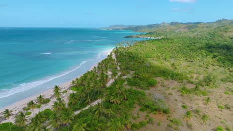 Vista-Panorámica-De-Drones-Que-Muestra-Una-Isla-Verde-Con-Playa-De-Arena-Y-Mar-Caribe-Durante-La-Luz-Del-Sol---Paisaje-Tropical-Sobrevolando-La-Isla-De-La-República-Dominicana