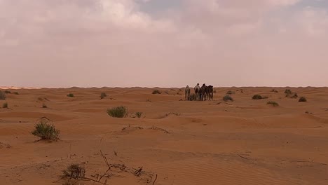Back-view-of-dromedary-camels-walking-through-Sahara-desert-of-Tunisia-on-cloudy-day