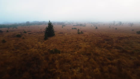 Eine-Drohne-Schiebt-Sich-Durch-Eine-Neblige-Wiese-Mit-Spärlichen-Bäumen-In-Belgien