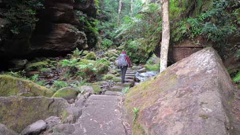 Indigenous-Australian-girl-hiking-through-a-canyon-on-a-windy-winter-morning,-in-the-Blue-Mountains-National-park