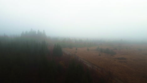 A-drone-pushes-over-a-misty-forest-in-Belgium