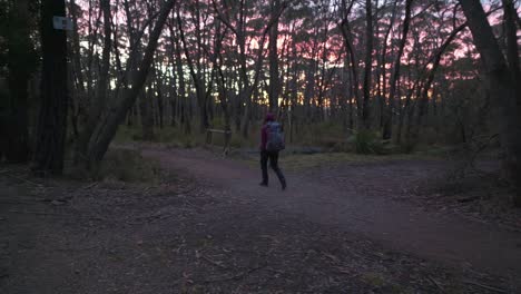 Indigenous-Australian-girl-walking-on-a-dirt-trail-through-the-Australian-bush-during-sunrise