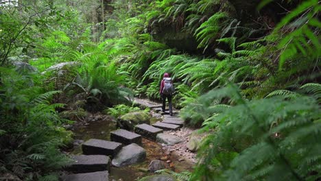 Indigenes-Australisches-Mädchen-überquert-Bach-In-Den-Blue-Mountains,-New-South-Wales,-Australien