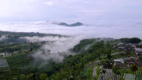 Brumoso-Bosque-Indonesio-Y-Aldea-Tradicional-De-Chabolas-Mangli