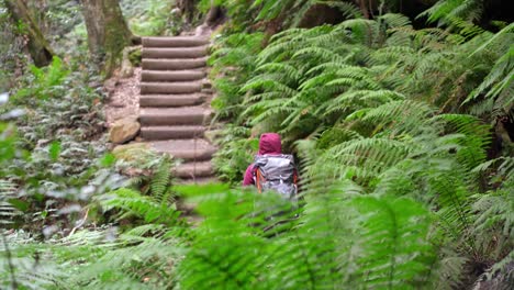 Indigenous-Australian-girl-hiking-through-dense-ferns-in-the-Blue-Mountains,-NSW-Australia
