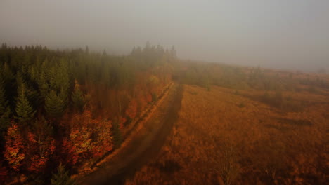 A-drone-pushes-through-misty-forest-in-the-mountains-near-Estepona,-Spain