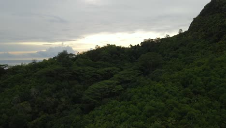 Die-Natur-Der-Seychellen-Wurde-Mit-Einer-Drohne-In-4K-Gefilmt