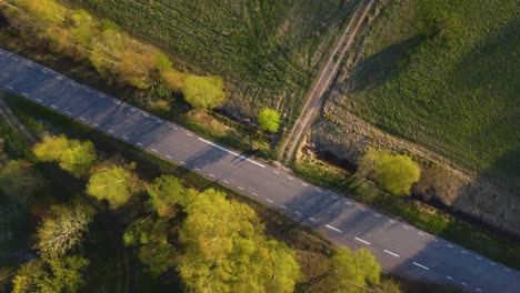 Forest-Road:-Drone-Descent-into-Nature's-Heart