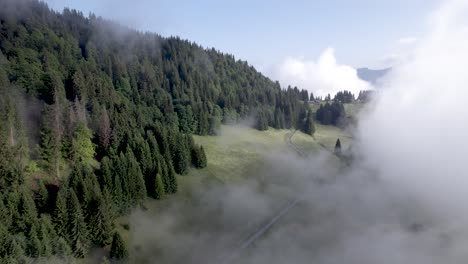 Aerial-forward-of-Mont-Chery-mountain-slope-with-green-meadows-and-pine-tree-divide-with-cloud-obscuring-half-of-the-scenery