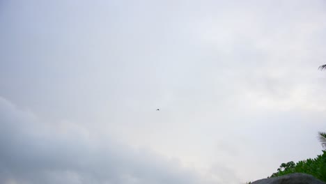 Murciélago-Volando-En-El-Aire-Filmado-En-Seychelles-En-La-Isla-Principal-De-Mahe-Con-La-Naturaleza-Circundante