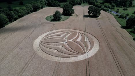 Aerial-view-orbiting-Warminster-crops-circle-2023-symmetrical-paranormal-pattern-on-farmland-in-England