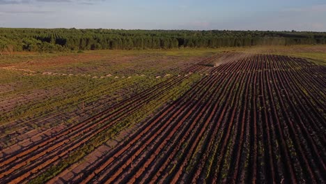 Aerial-drone-shot-of-a-newly-prepared-agriculture-land-between-a-forest-in-Posadas-of-Misiones-Argentina