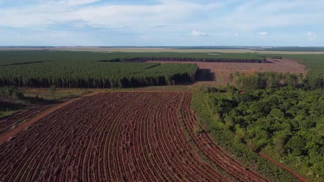 Aerial-drone-shot-of-a-newly-prepared-agriculture-land-between-a-forest-in-Posadas-of-Misiones-Argentina