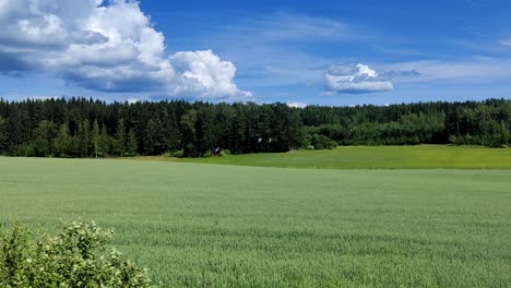 Fahren-Sie-An-Der-Wunderschönen-Landschaft-Finnlands-Vorbei