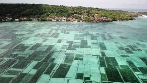Aerial-drone-video-flying-forwards-towards-Nusa-Ceningan,-over-seaweed-farms-in-the-sea,-off-the-coast-of-Bali,-Indonesia