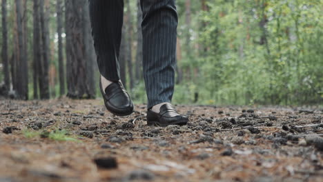 Businessman-in-suit-and-shoes-walks-across-pine-forest