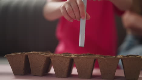 Little-girl-makes-holes-for-seeds-in-seedling-tray-at-home