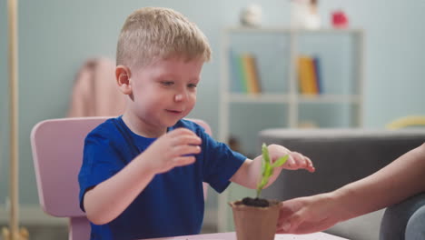 little-child-transplants-sprout-into-pot-with-earth