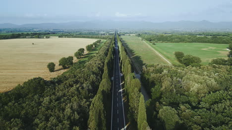 Tuscan-road-lined-with-old-cypress-trees,-italian-countryside,-drone