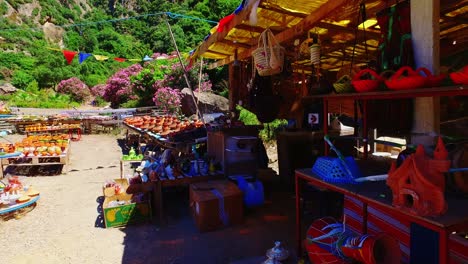 Traditionelle-Arabische-Algerische-Pflanze-In-Einem-Geschäft