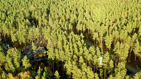 The-forest-as-home,-aerial-tour-of-dwellings-among-the-trees