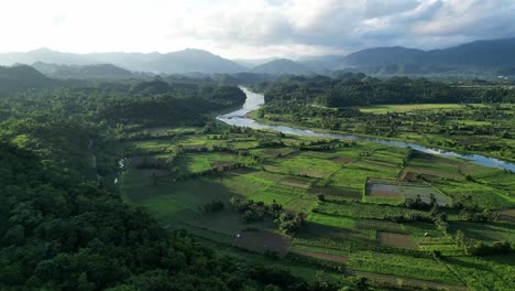 Drohnen-Dolly-Atemberaubende-Ackerlandfelder-In-Der-Philippinischen-Landschaft-An-Einem-Großen,-Gewundenen-Fluss