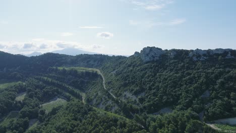 Aerial-Drone-shot-flying-over-Vaucluse-Provence-Dentelles-Montmirail-France