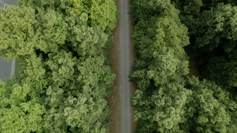 Drone-top-down-bird's-eye-view-above-biking-path-surrounded-by-trees