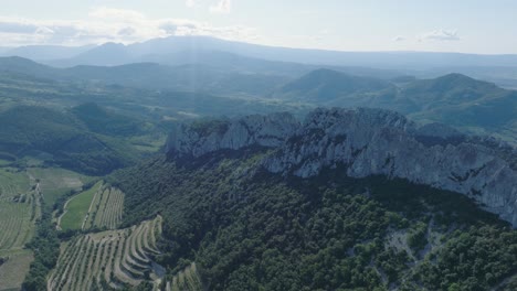 Aerial-Drone-shot-flying-over-Vineyards-Vaucluse-Provence-Dentelles-Montmirail-France