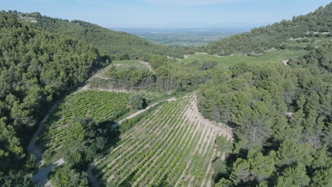 Aerial-Drone-shot-flying-over-Vineyards-Vaucluse-Provence-South-France