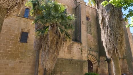 Establishing-shot-looking-up-at-Iglesia-de-Santiago-el-Mayor-medieval-catholic-parish-church-with-lush-palm-trees-foliage-growing-outside