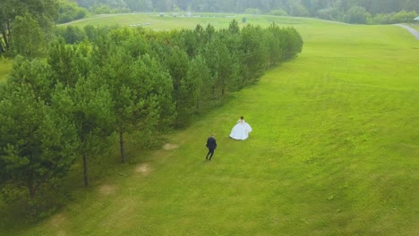 groom-runs-follow-bride-in-green-field-at-wood-bird-eye-view