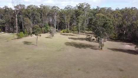 Drone-descending-on-a-green-field-trees-in-the-background