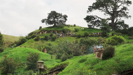 Tourists-excitedly-line-up-for-a-glimpse-of-the-iconic-Bag-End-at-the-Hobbiton-movie-set-in-New-Zealand