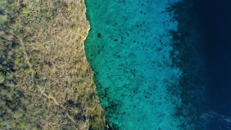 Drone-top-down,-rises-above-trail-leading-to-secluded-beach-and-clear-blue-caribbean-water