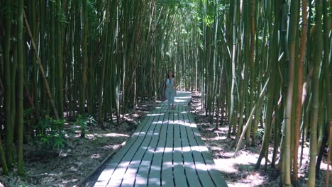 Woman-walks-towards-the-camera-as-she-looks-at-the-bamboo-forest-around-her