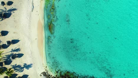 Bird's-eye-view-top-down-pan-across-white-sandy-beach-bungalows,-palapas-and-clear-blue-ocean-water-on-Daaibooi-beach-in-Curacao