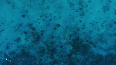 Kristallklares-Türkisfarbenes-Karibisches-Meer,-Tiefes-Korallenriff,-Luftaufnahme-Von-Oben-Nach-Unten