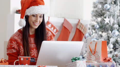 Lächelnde-Frau-Beim-Online-Weihnachtseinkauf