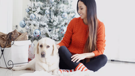 Junge-Frau-Und-Ihr-Hund-Feiern-Weihnachten